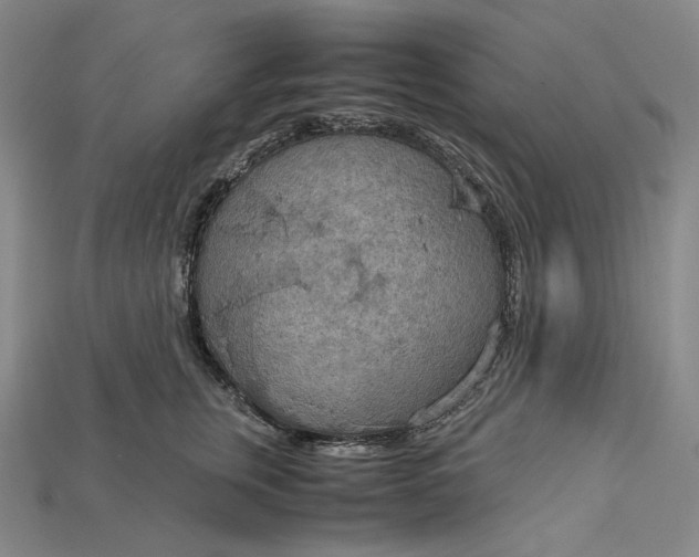 X0000115190759200911121822