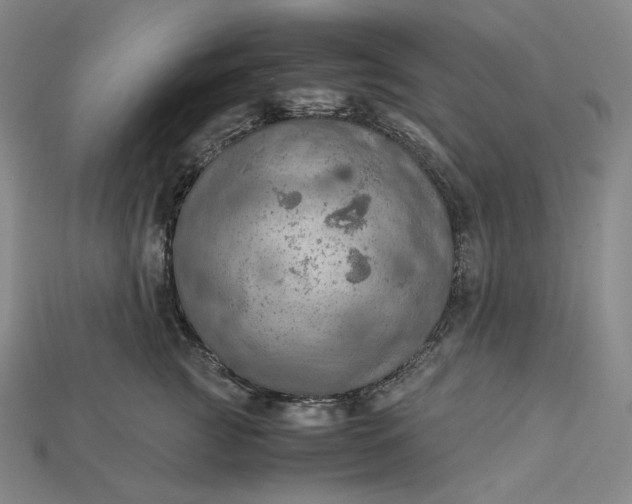 X0000115190761200911121822