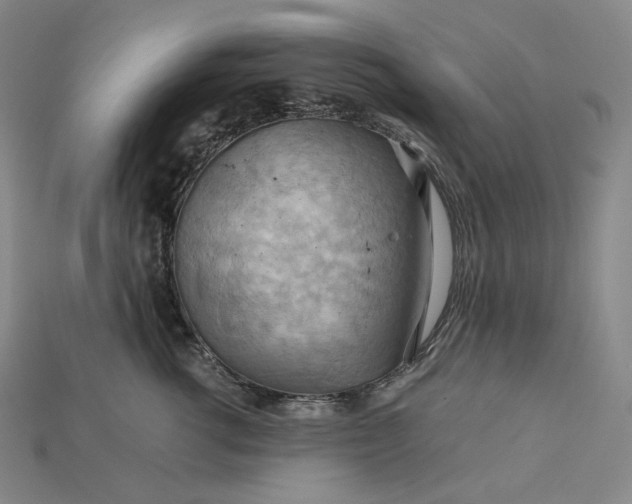 X0000115190762200911121822