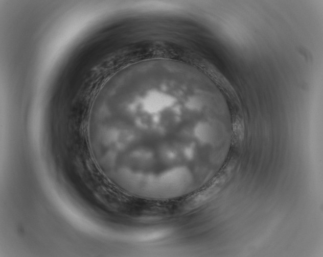 X0000115190765200911121822