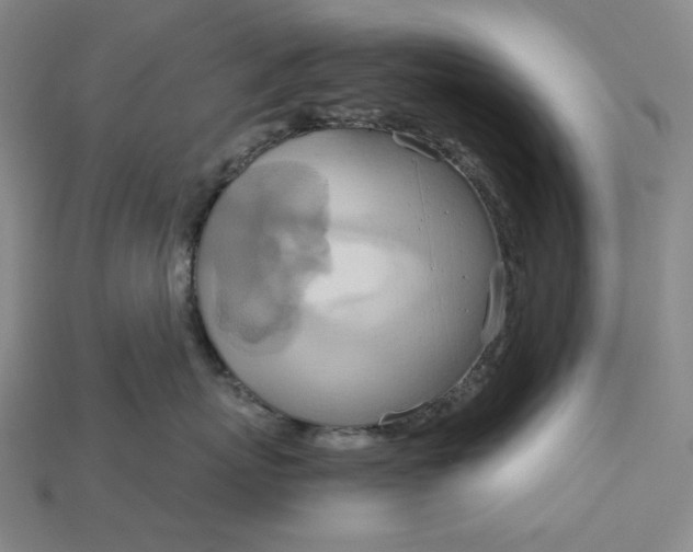 X0000115190767200911121822