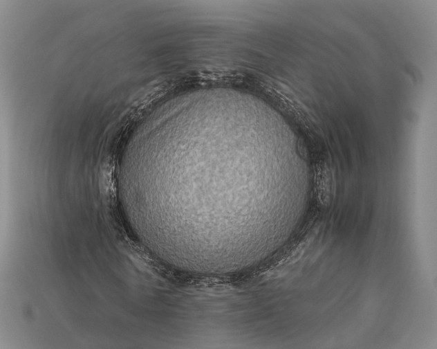 X0000115190770200911121821