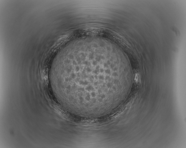 X0000115190771200911121821