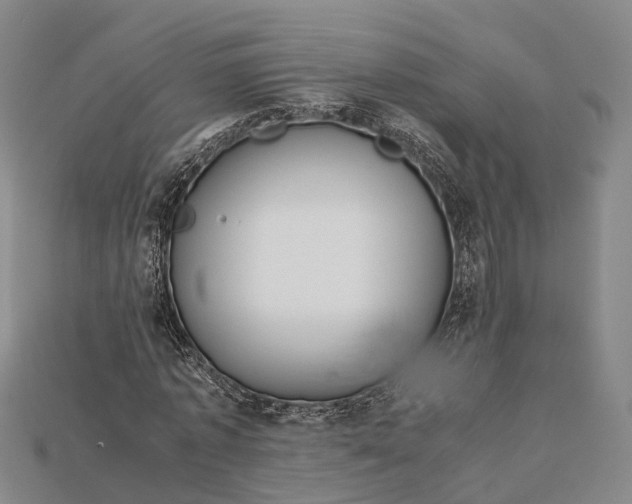 X0000115190773200911121821