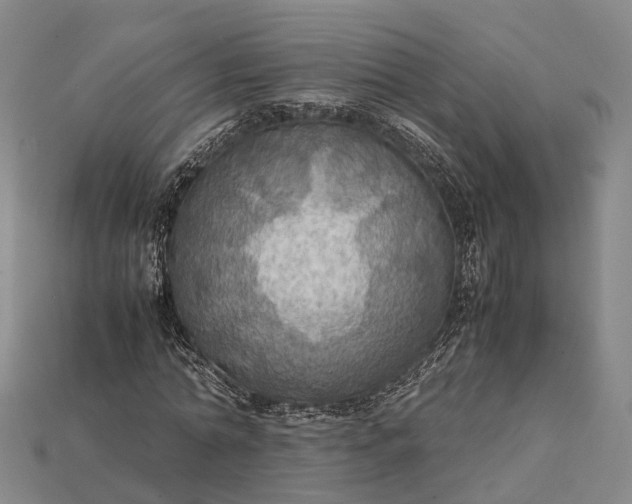 X0000115190774200911121821