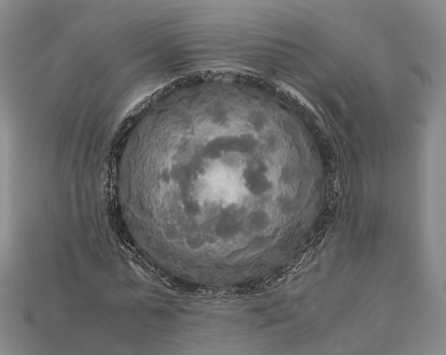 X0000115190775200911121821