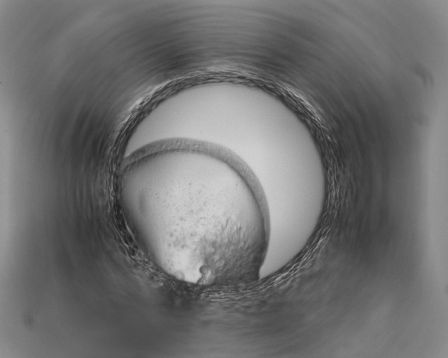 X0000115190776200911121821