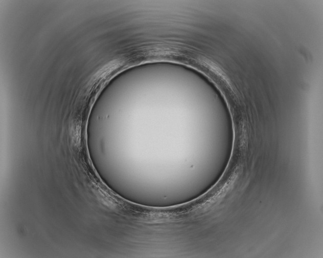 X0000115190777200911121821