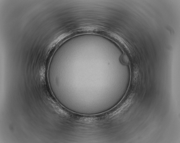 X0000115190778200911121821