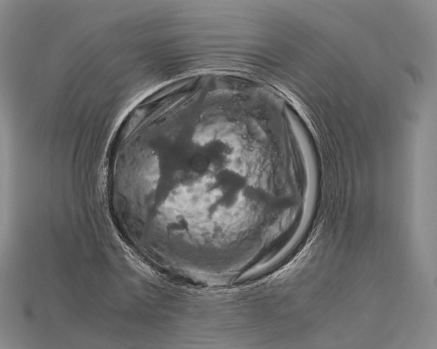 X0000115190779200911121821