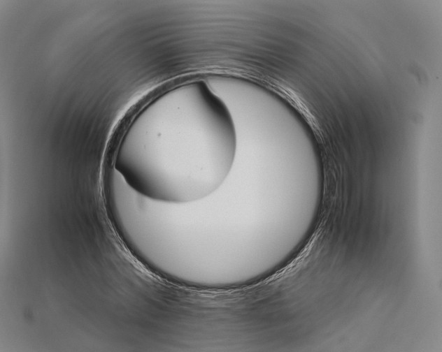 X0000115190780200911121821