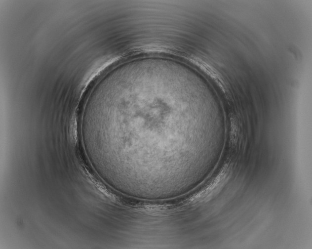 X0000115190782200911121821