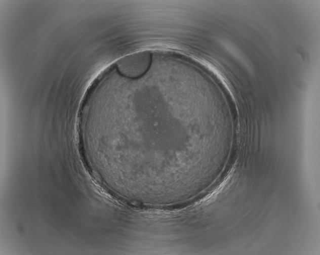 X0000115190783200911121821
