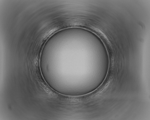 X0000115190785200911121821