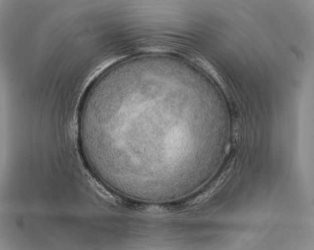 X0000115190787200911121821
