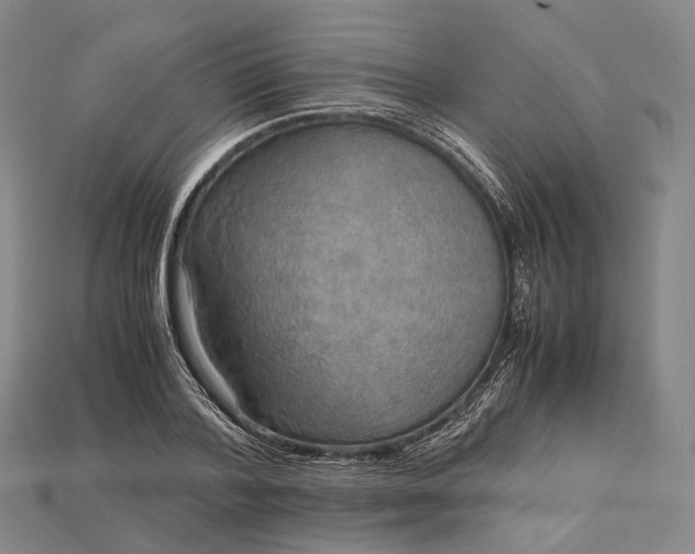 X0000115190788200911121821