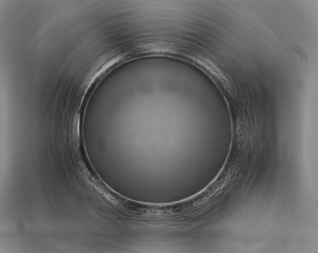 X0000115190790200911121821