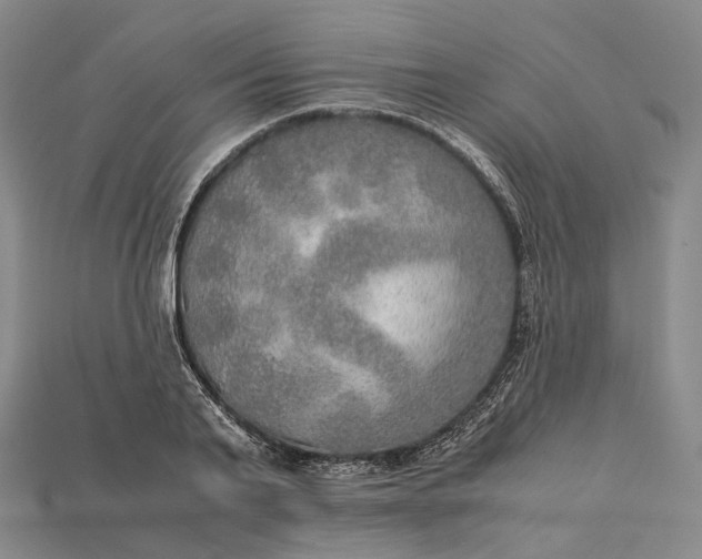 X0000115190791200911121821