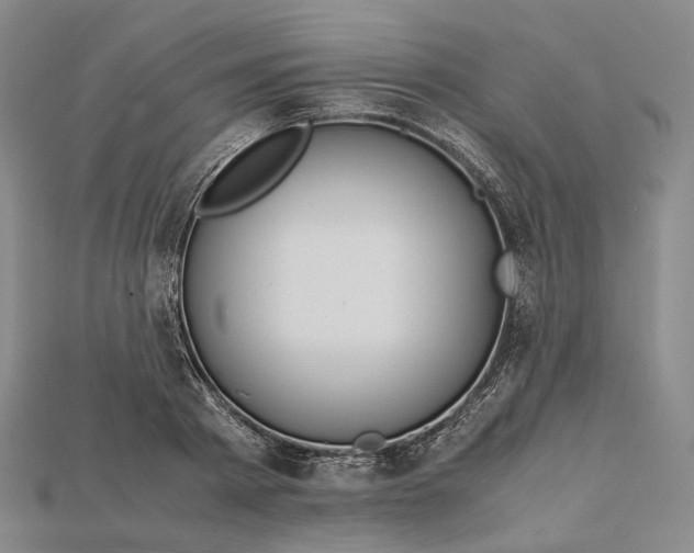 X0000115190793200911121821