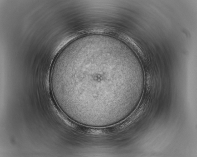 X0000115190794200911121821