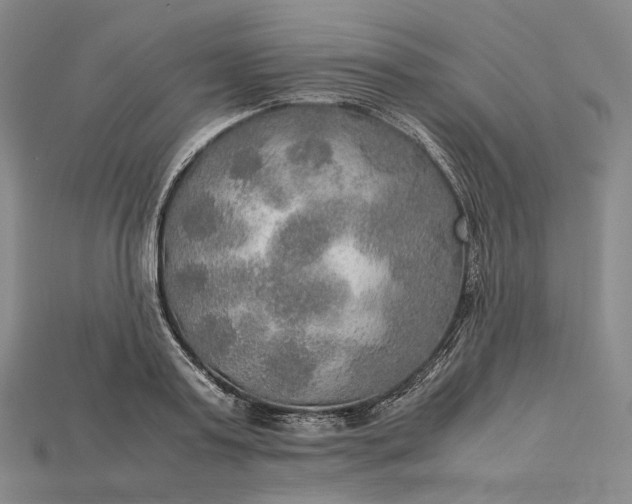 X0000115190795200911121821
