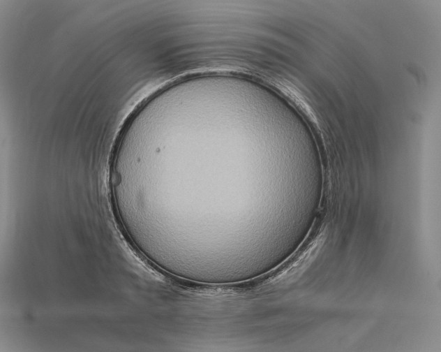 X0000115190797200911121821