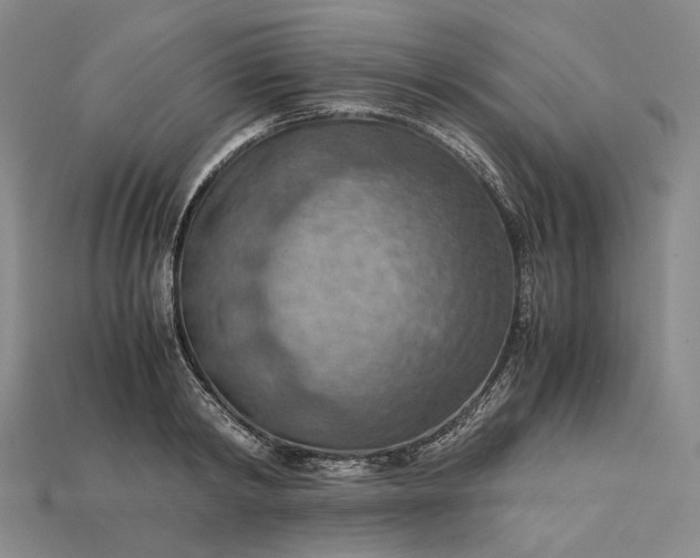 X0000115190798200911121821