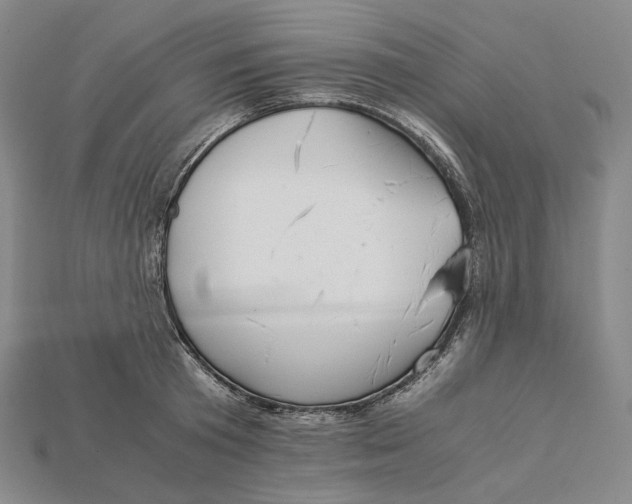 X0000115190801200911121821