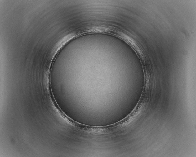 X0000115190802200911121821