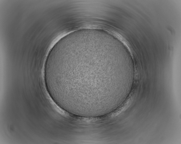 X0000115190803200911121821