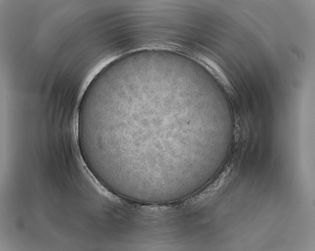 X0000115190804200911121821