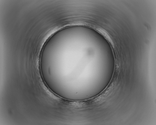 X0000115190805200911121821