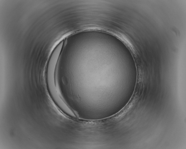 X0000115190806200911121821
