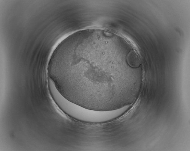 X0000115190808200911121821