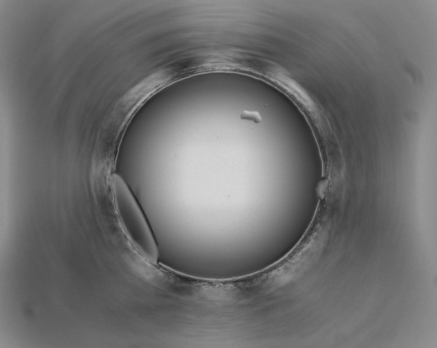 X0000115190809200911121821