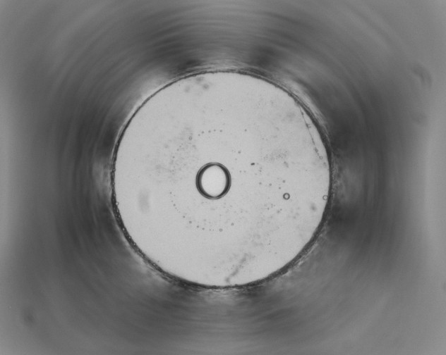X0000115190810200911121821