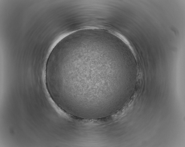 X0000115190811200911121820