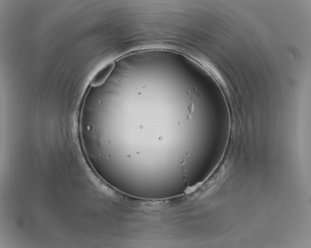 X0000115190813200911121820