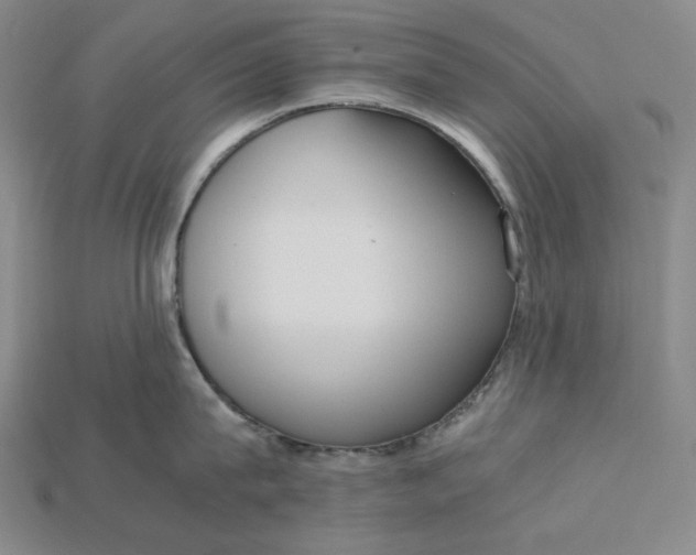 X0000115190815200911121820