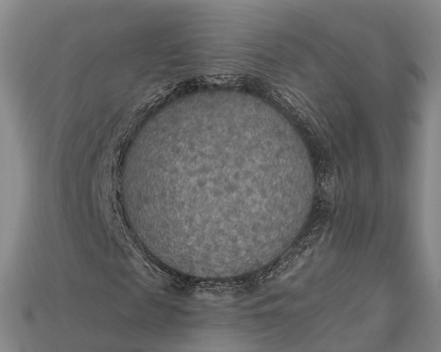 X0000115190817200911121820