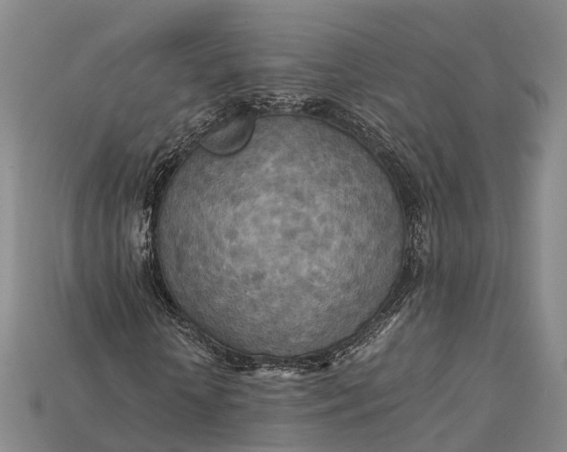X0000115190818200911121820