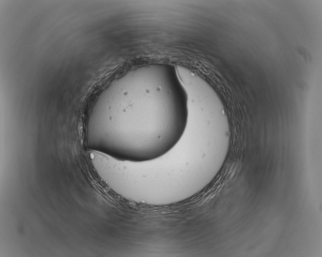 X0000115190820200911121820