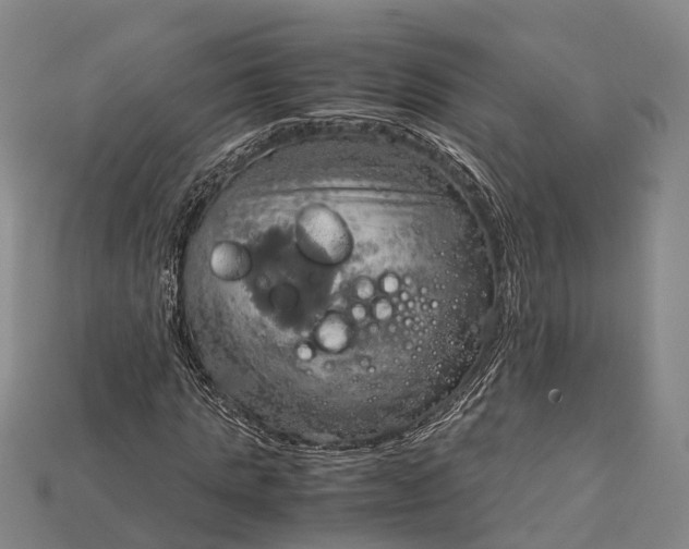 X0000115190821200911121820