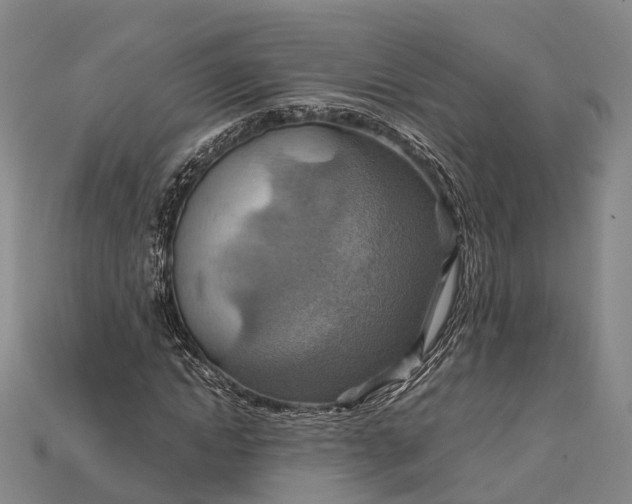 X0000115190822200911121820