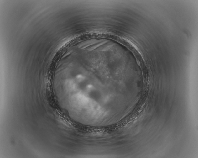 X0000115190823200911121820