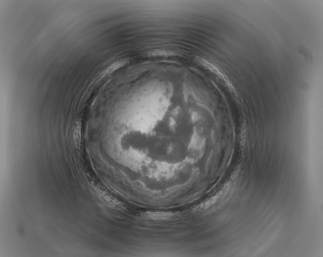 X0000115190825200911121820