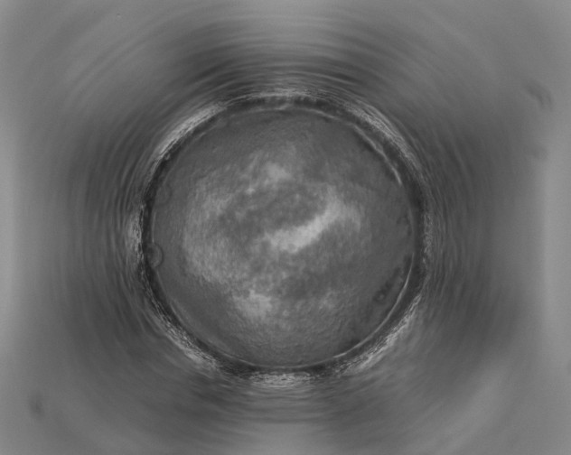 X0000115190826200911121820