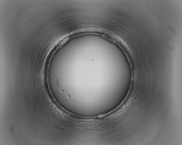 X0000115190828200911121820