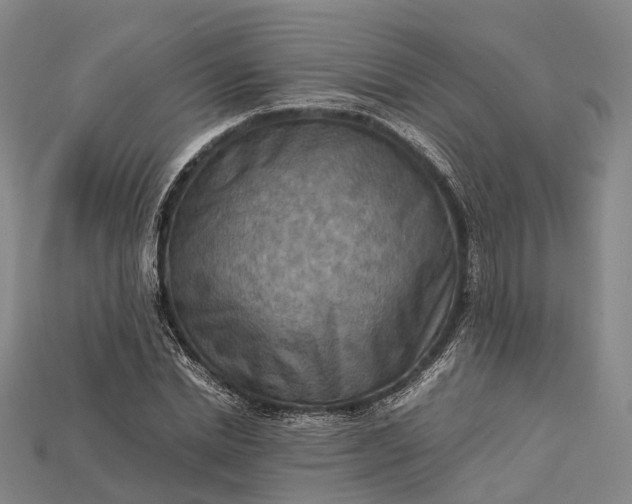 X0000115190830200911121820