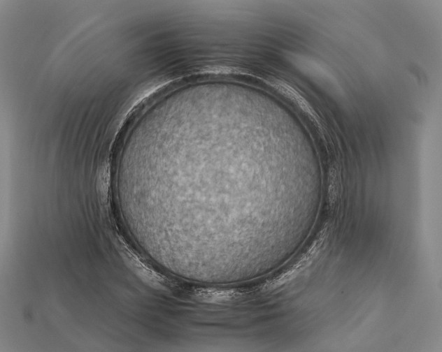 X0000115190831200911121820